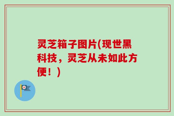 灵芝箱子图片(现世黑科技，灵芝从未如此方便！)