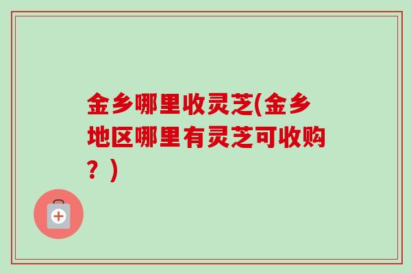 金乡哪里收灵芝(金乡地区哪里有灵芝可收购?) 金乡哪里收灵芝(金乡地区哪里有灵芝可收购?)
