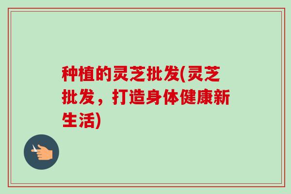 种植的灵芝批发(灵芝批发，打造身体健康新生活)