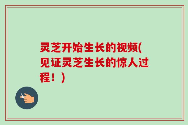 灵芝开始生长的视频(见证灵芝生长的惊人过程!) 灵芝开始生长的视频(见证灵芝生长的惊人过程!)