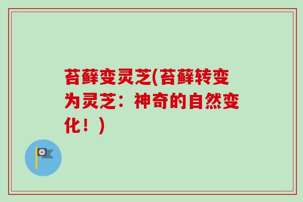 苔藓变灵芝(苔藓转变为灵芝：神奇的自然变化！)
