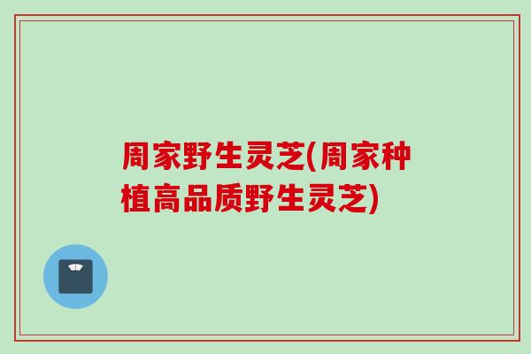 周家野生灵芝(周家种植高品质野生灵芝)