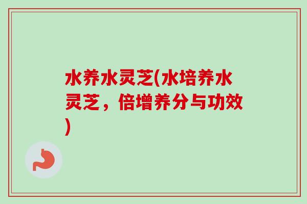 水养水灵芝(水培养水灵芝，倍增养分与功效)