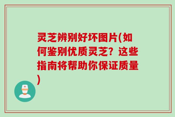 灵芝辨别好坏图片(如何鉴别优质灵芝？这些指南将帮助你保证质量)