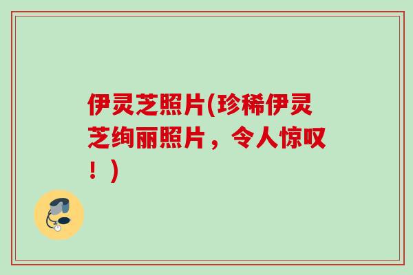 伊灵芝照片(珍稀伊灵芝绚丽照片，令人惊叹！)