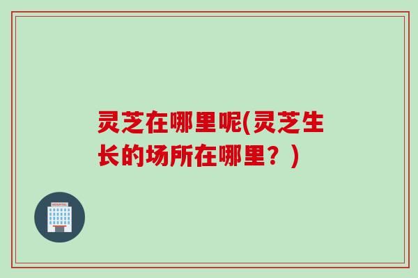 灵芝在哪里呢(灵芝生长的场所在哪里？)