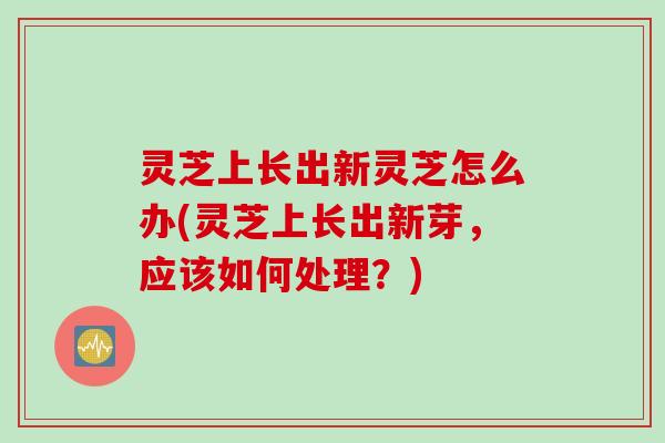 灵芝上长出新灵芝怎么办(灵芝上长出新芽，应该如何处理？)
