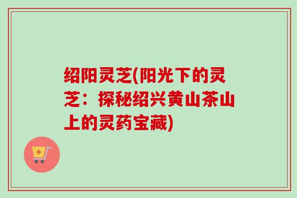 绍阳灵芝(阳光下的灵芝：探秘绍兴黄山茶山上的灵药宝藏)