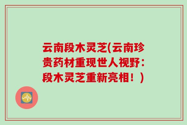云南段木灵芝(云南珍贵药材重现世人视野:段木灵芝重新亮相!) 云南段木灵芝(云南珍贵药材重现世人视野:段木灵芝重新亮相!)