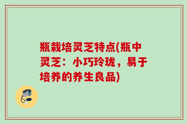 瓶栽培灵芝特点(瓶中灵芝：小巧玲珑，易于培养的养生良品)