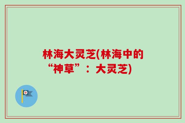 林海大灵芝(林海中的“神草”：大灵芝)