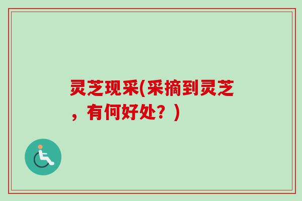 灵芝现采(采摘到灵芝，有何好处？)