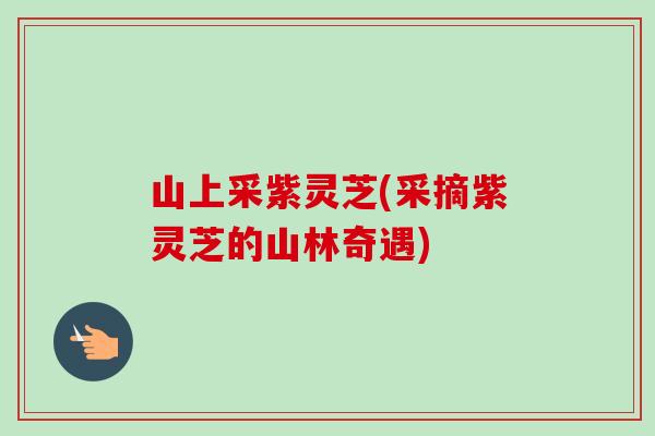 山上采紫灵芝(采摘紫灵芝的山林奇遇)