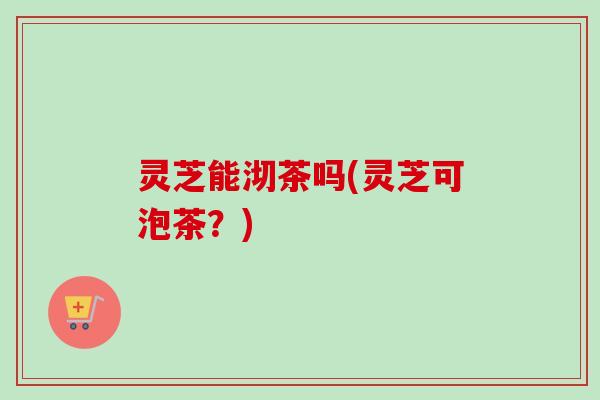 灵芝能沏茶吗(灵芝可泡茶？)