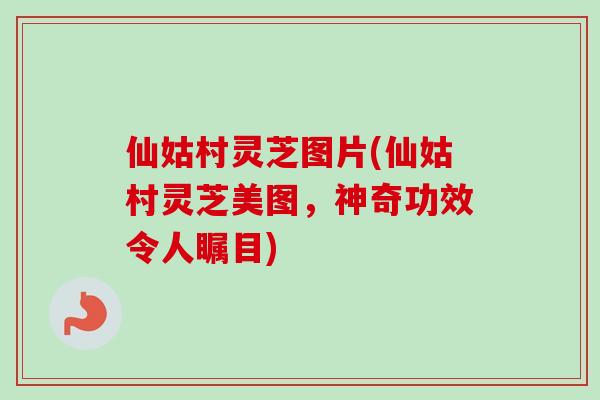 仙姑村灵芝图片(仙姑村灵芝美图，神奇功效令人瞩目)