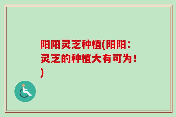 阳阳灵芝种植(阳阳：灵芝的种植大有可为！)