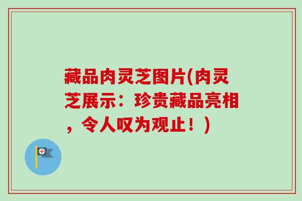 藏品肉灵芝图片(肉灵芝展示：珍贵藏品亮相，令人叹为观止！)