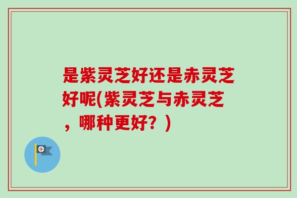 是紫灵芝好还是赤灵芝好呢(紫灵芝与赤灵芝，哪种更好？)