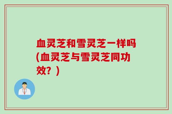 灵芝和雪灵芝一样吗(灵芝与雪灵芝同功效?) 灵芝和雪灵芝一样吗(灵芝与雪灵芝同功效?)