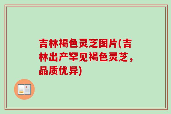 吉林褐色灵芝图片(吉林出产罕见褐色灵芝，品质优异)