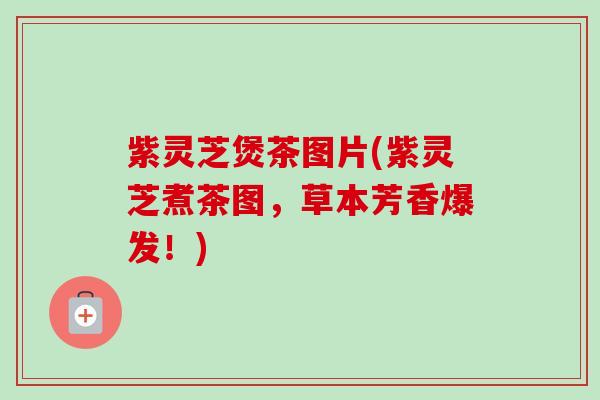 紫灵芝煲茶图片(紫灵芝煮茶图，草本芳香爆发！)