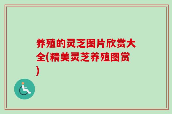 养殖的灵芝图片欣赏大全(精美灵芝养殖图赏)