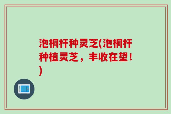 泡桐杆种灵芝(泡桐杆种植灵芝，丰收在望！)