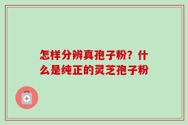 怎样分辨真孢子粉？什么是纯正的灵芝孢子粉