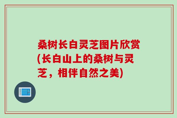 桑树长白灵芝图片欣赏(长白山上的桑树与灵芝，相伴自然之美)