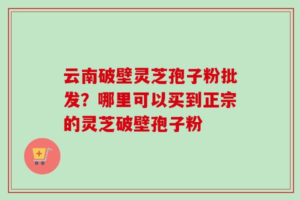 云南破壁灵芝孢子粉批发？哪里可以买到正宗的灵芝破壁孢子粉