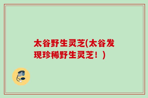 太谷野生灵芝(太谷发现珍稀野生灵芝！)