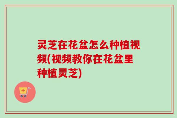 灵芝在花盆怎么种植视频(视频教你在花盆里种植灵芝)