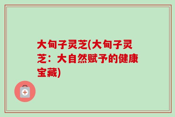 大甸子灵芝(大甸子灵芝：大自然赋予的健康宝藏)