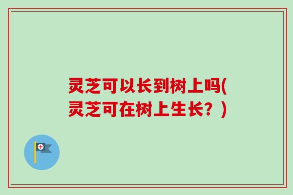 灵芝可以长到树上吗(灵芝可在树上生长？)