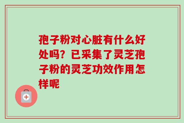 孢子粉对心脏有什么好处吗？已采集了灵芝孢子粉的灵芝功效作用怎样呢