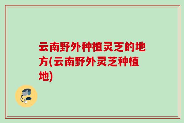 云南野外种植灵芝的地方(云南野外灵芝种植地) 云南野外种植灵芝的地方(云南野外灵芝种植地)