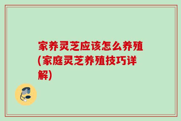 家养灵芝应该怎么养殖(家庭灵芝养殖技巧详解)