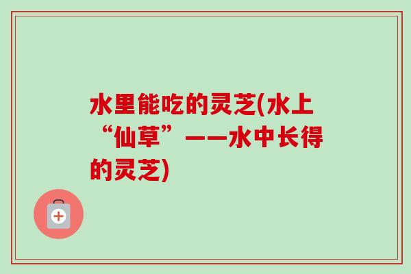 水里能吃的灵芝(水上“仙草”――水中长得的灵芝)