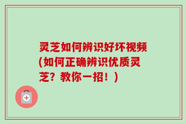 灵芝如何辨识好坏视频(如何正确辨识优质灵芝？教你一招！)