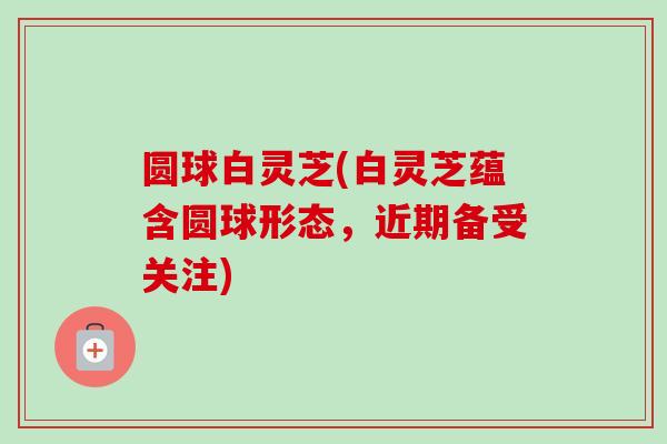 圆球白灵芝(白灵芝蕴含圆球形态，近期备受关注)