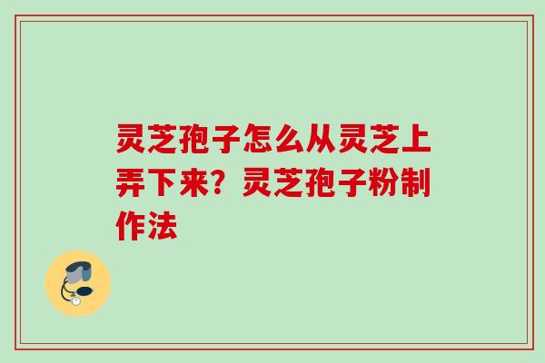 灵芝孢子怎么从灵芝上弄下来？灵芝孢子粉制作法