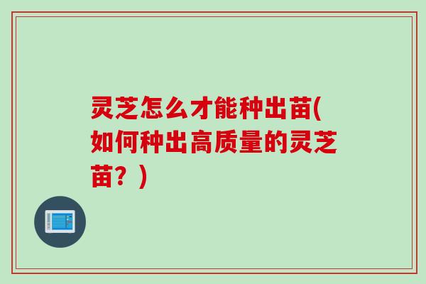 灵芝怎么才能种出苗(如何种出高质量的灵芝苗？)