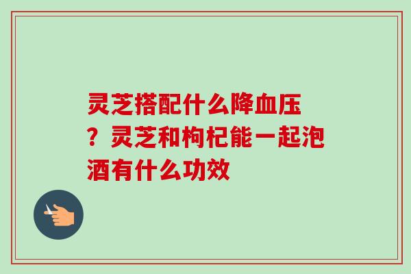 灵芝搭配什么降血压 ？灵芝和枸杞能一起泡酒有什么功效