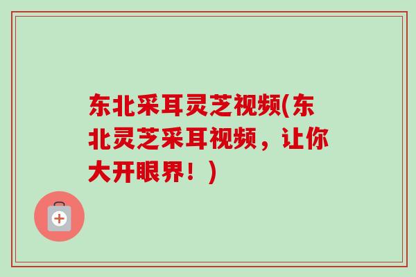 东北采耳灵芝视频(东北灵芝采耳视频，让你大开眼界！)