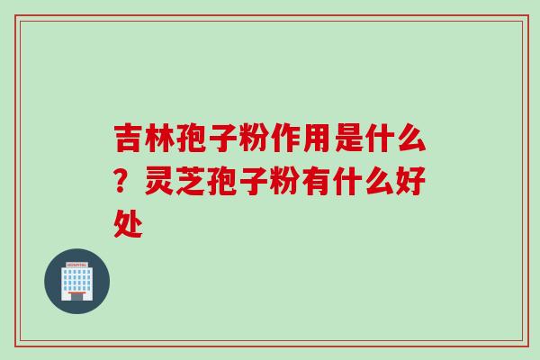 吉林孢子粉作用是什么？灵芝孢子粉有什么好处