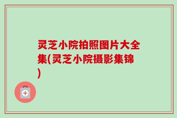 灵芝小院拍照图片大全集(灵芝小院摄影集锦)