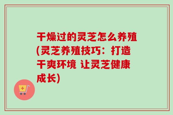 干燥过的灵芝怎么养殖(灵芝养殖技巧:打造干爽环境 让灵芝健康成长) 干燥过的灵芝怎么养殖(灵芝养殖技巧:打造干爽环境 让灵芝健康成长)