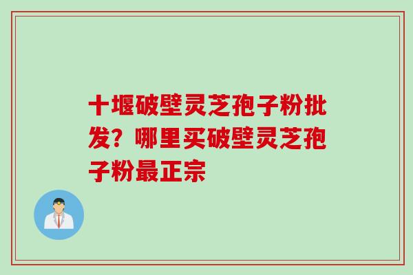 十堰破壁灵芝孢子粉批发？哪里买破壁灵芝孢子粉最正宗