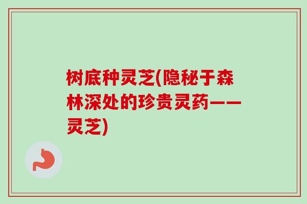 树底种灵芝(隐秘于森林深处的珍贵灵药——灵芝)