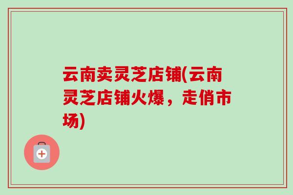 云南卖灵芝店铺(云南灵芝店铺火爆，走俏市场)